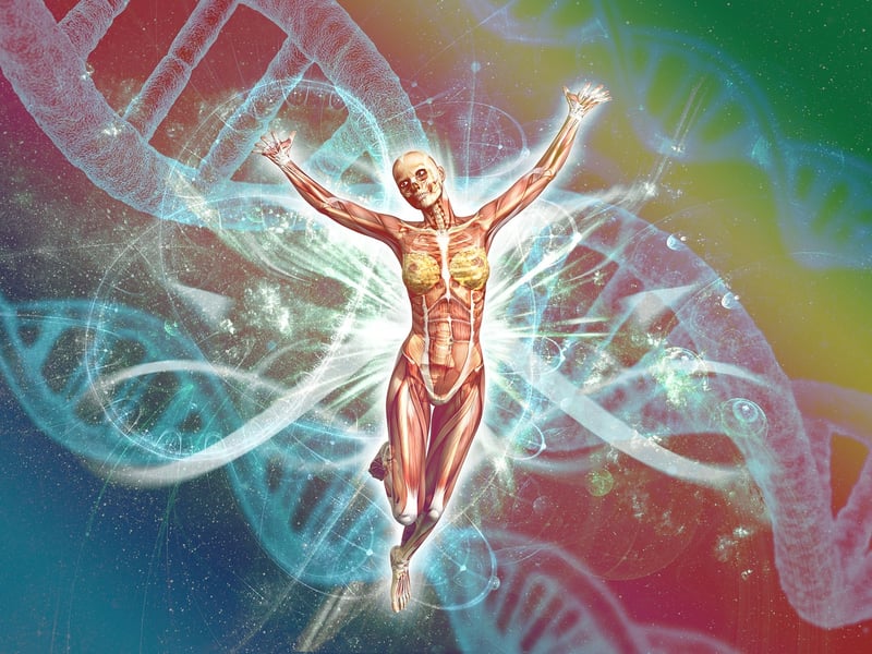 DNA Biology